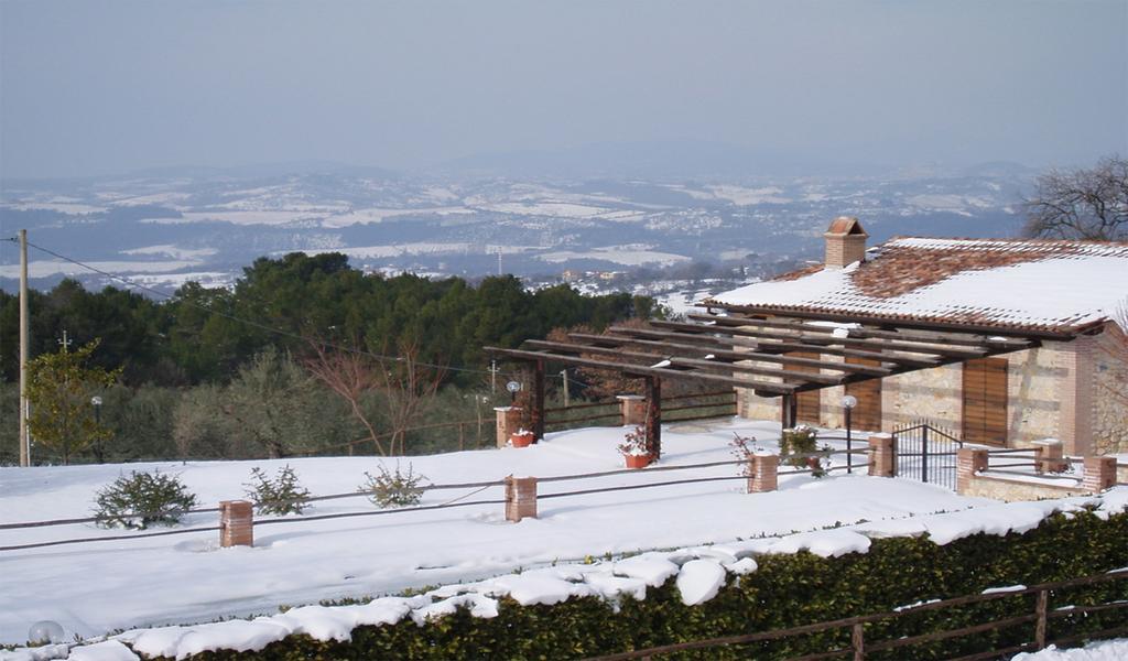 Belvedere Cramaccioli Vigne Exteriör bild